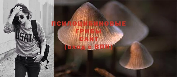 дурь Белокуриха