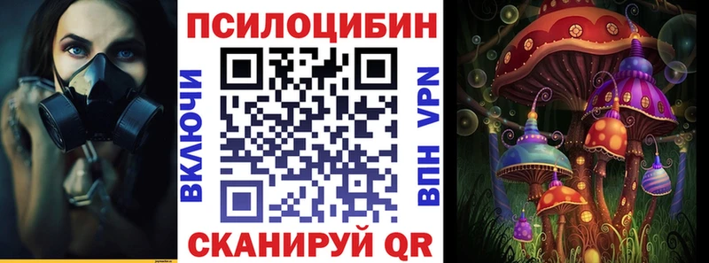 Галлюциногенные грибы Cubensis  kraken зеркало  Назарово 